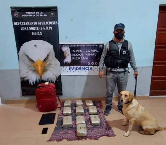 Narcotráfico en el norte: Secuestraron 40 mil dosis de droga