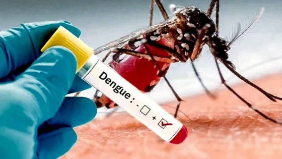 Salta registró 1465 nuevos casos de dengue