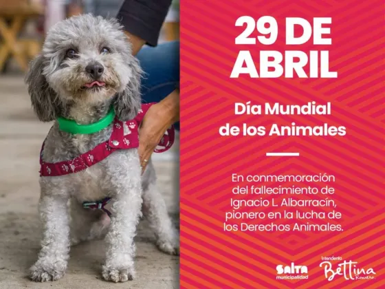 Día del Animal: organizan actividades municipales alusivas a la fecha