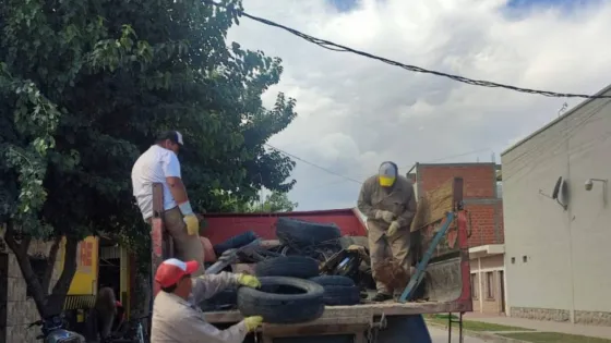 Comienza la campaña de prevención de dengue