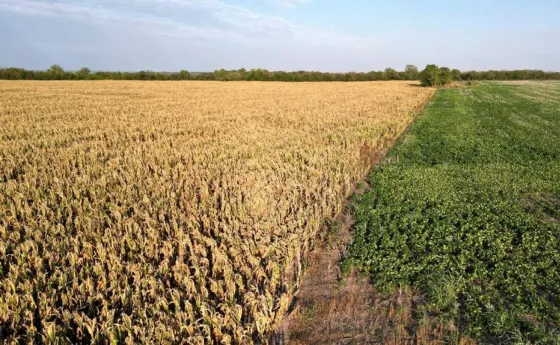 El Gobierno estimó que ya perdió $580.000 millones de recaudación por la sequía