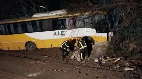 Simesen de Bielke: “no se notaron desperfectos mecánicos, sería una cuestión más humana”