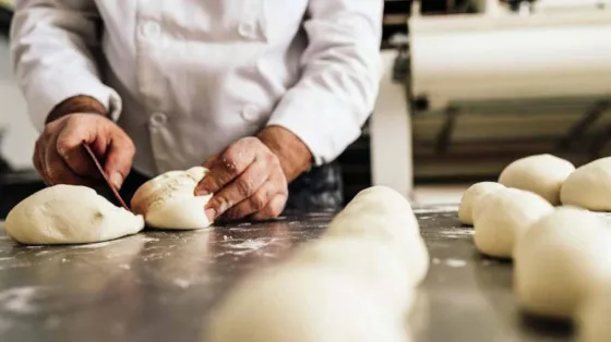 Daniel Romano: “Ya no sabemos cómo mantenernos”