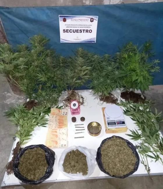 Desbaratan dos bocas de expendio de drogas en Metán