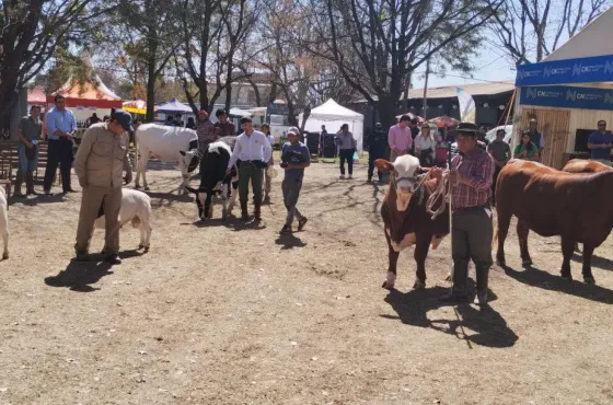 Hasta el domingo se vive en Salta la 79° Expo Rural