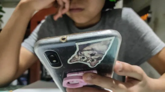 En Salta se recibe una denuncia por día de distribución de material de abuso sexual infantil