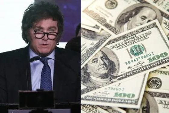 Un asesor económico de Milei señaló: "No vamos a dolarizar si no hay dólares"