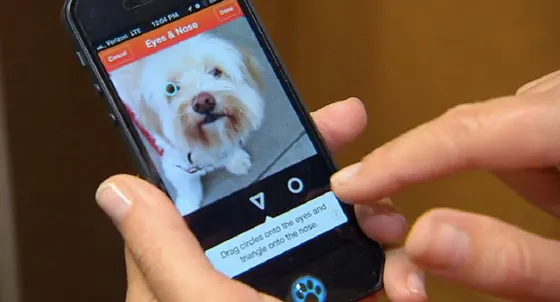 La aplicación que permite encontrar perros extraviados