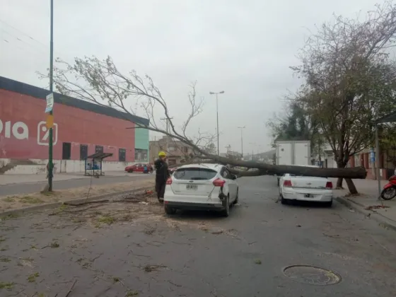 Por los vientos intensos, intervinieron equipos por emergencias en la ciudad