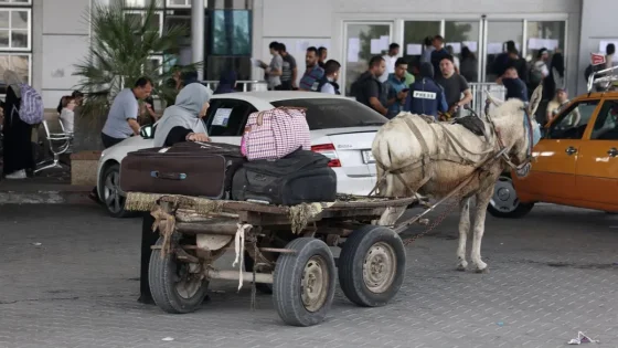 Otro grupo de extranjeros fue evacuado desde la Franja de Gaza a Egipto