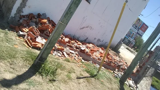 Vecina denuncia hostigamiento de un área de la Municipalidad