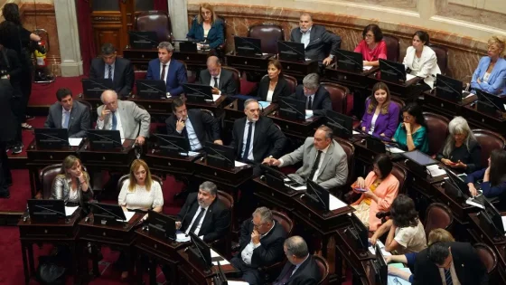Boleta Única de Papel: ya se debate en el Senado