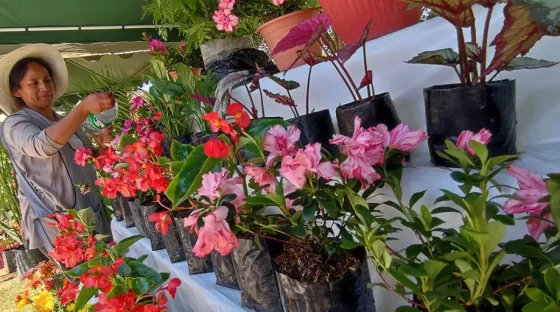 Más de 150 emprendedores expondrán sus productos en el Parque Bicentenario