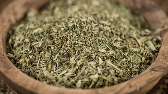Un científico expondrá en EEUU sobre la posibilidad de generar yerba descafeinada