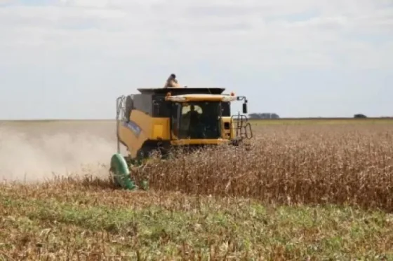 La Sociedad Rural Salteña: “no decepcionados, si en alerta”