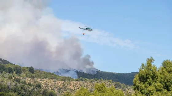 El incendio en Los Alerces ya consumió 2.800 hectáreas