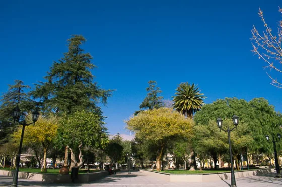 Detuvieron a una mujer con pedido de captura en Cafayate