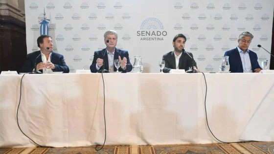 Gobernadores patagónicos piden diálogo e invitan a Milei a una reunión