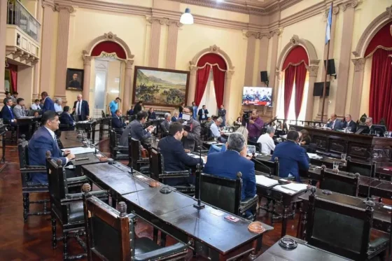 El Senado repudió el cierre de organismos nacionales y los despidos