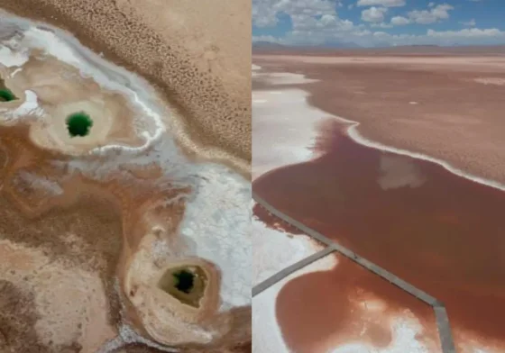En Tolar Grande aseguran que “es una lástima no contar con los ojos de mar”