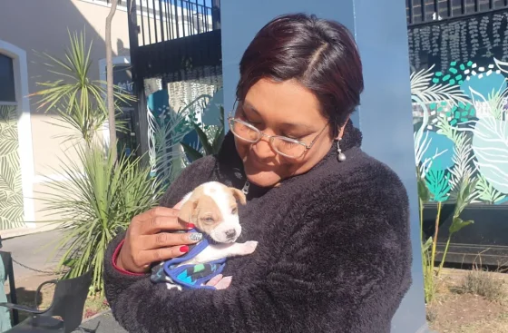 Jornada de adopciones de cachorros en el Alto Noa Shopping
