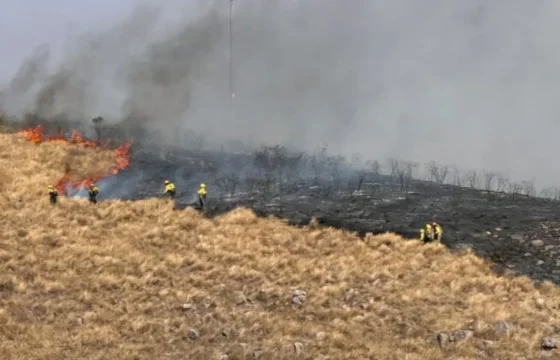 Voraz incendio en Vaqueros