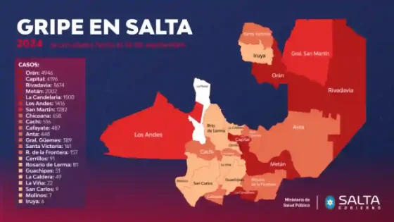 Salta registró más de 22 mil casos de gripe