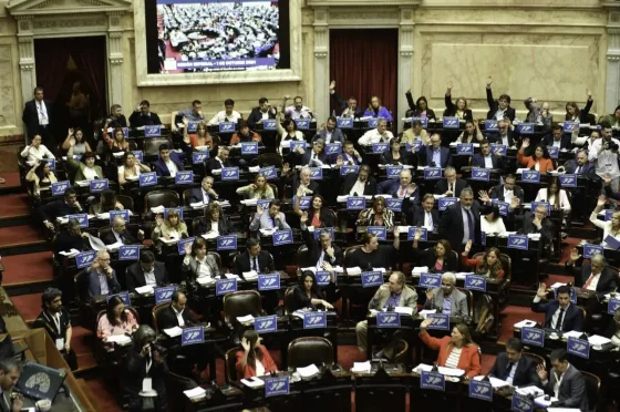 Financiamiento universitario: Cómo votaron los diputados salteños