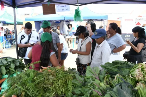 Más de 15 mil personas concurrieron a “El mercado en tu barrio”