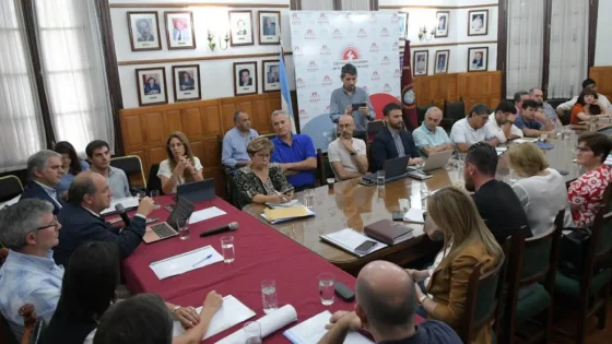 "Eliminar las PASO sería un importante ahorro para la Provincia "