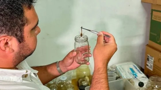 Zoonosis recibe alacranes para elaborar suero antiescorpiónico