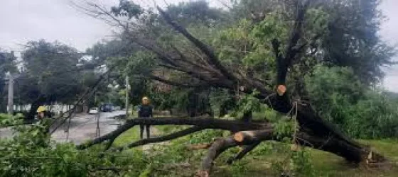 Se registraron 11 incidentes tras la lluvia de anoche