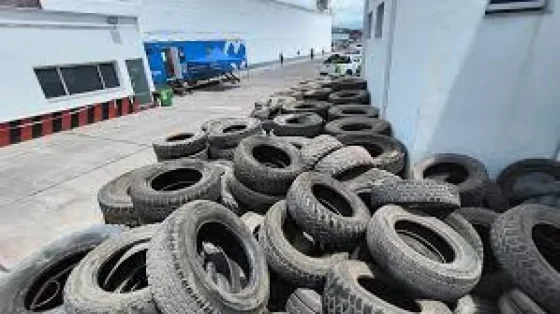 Neumatón: Este jueves se realiza una nueva jornada en el CCM