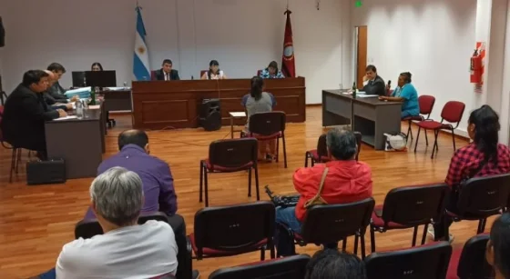 Alegatos en el juicio contra una mujer acusada de sustraer una beba del hospital