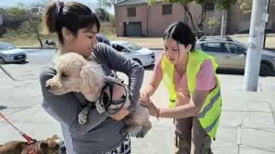 Conoce dónde estarán los puestos de vacunación antirrábica