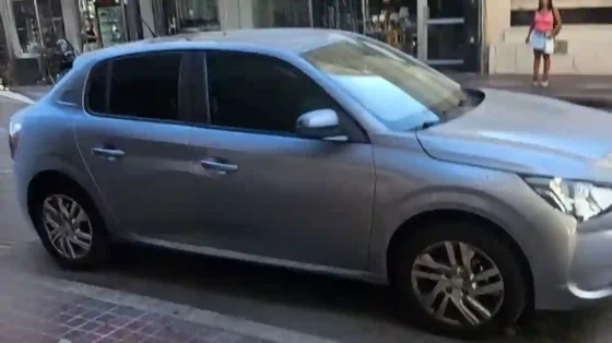 Un perro murió encerrado dentro de un auto