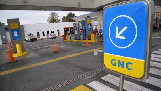 Aumenta la tarifa de gas para grandes usuarios y estaciones de GNC