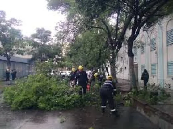 El sistema de Emergencias 105 registró seis incidentes durante la tormenta