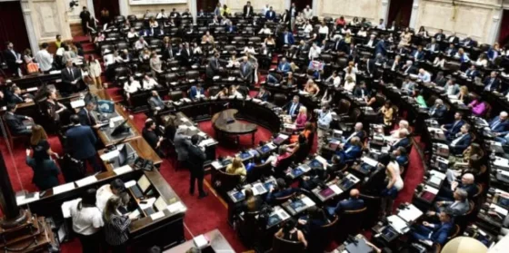 Diputados tratará hoy el proyecto de impedir tratamiento de hormonización a menores de edad