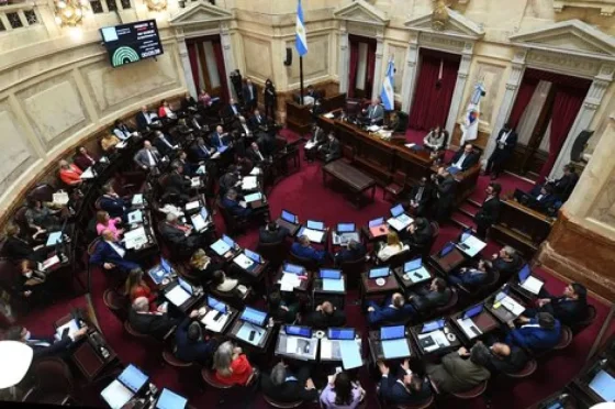 El Senado debate hoy en comisión la suspensión de las PASO