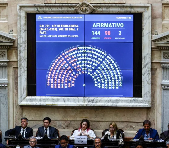 Ficha Limpia obtuvo media sanción en Diputados