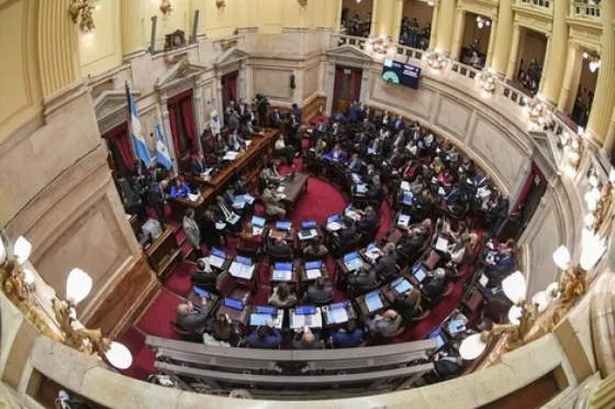 La suspensión de las PASO obtuvo dictamen en el Senado y se debatirá en el recinto