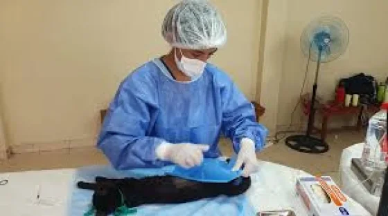 Conoce dónde estará el móvil de castración la próxima semana