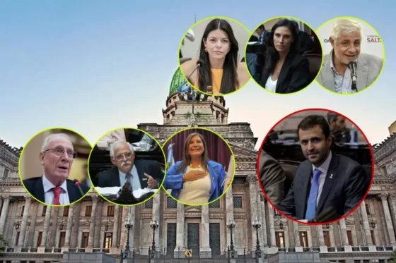 Seis de los siete diputados salteños aprobaron el acuerdo con el FMI