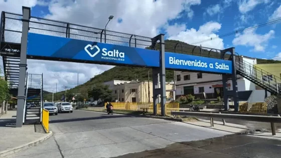 Finalizó la restauración integral de la pasarela peatonal de Av. Asunción