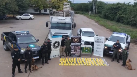 Más de 84 kilos de cocaína secuestrados en el sur provincial