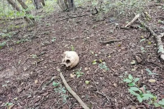 Hallaron restos óseos humanos en El Bordo