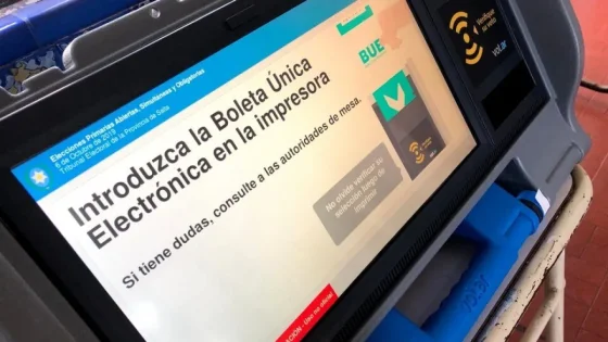 Elecciones: detalles y recomendaciones para votar este domingo
