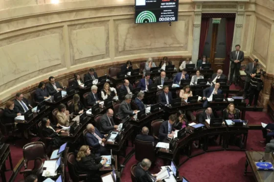 El Senado rechazó Ficha Limpia