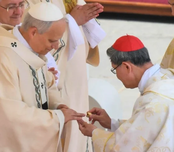 En la misa de asunción, el papa León XIV recordó a Francisco